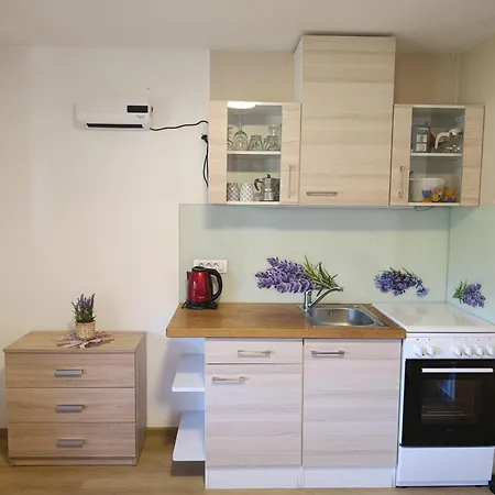 Apartmaji Verica Ceklin 公寓 博希尼