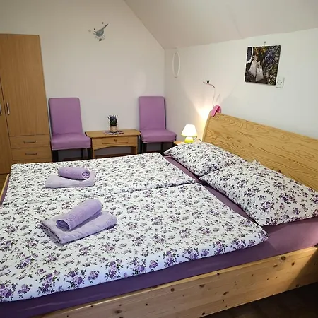 公寓 Apartmaji Verica Ceklin 博希尼